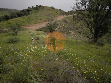 Terreno para Venda em Castro Marim