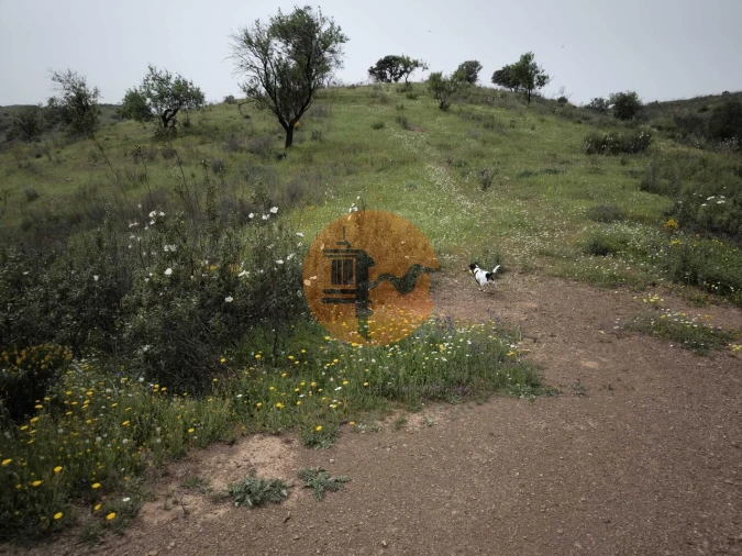 Terreno para Venda em Castro Marim Foto 4