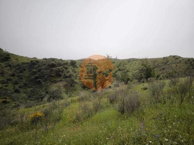 Terreno para Venda em Castro Marim Foto 14