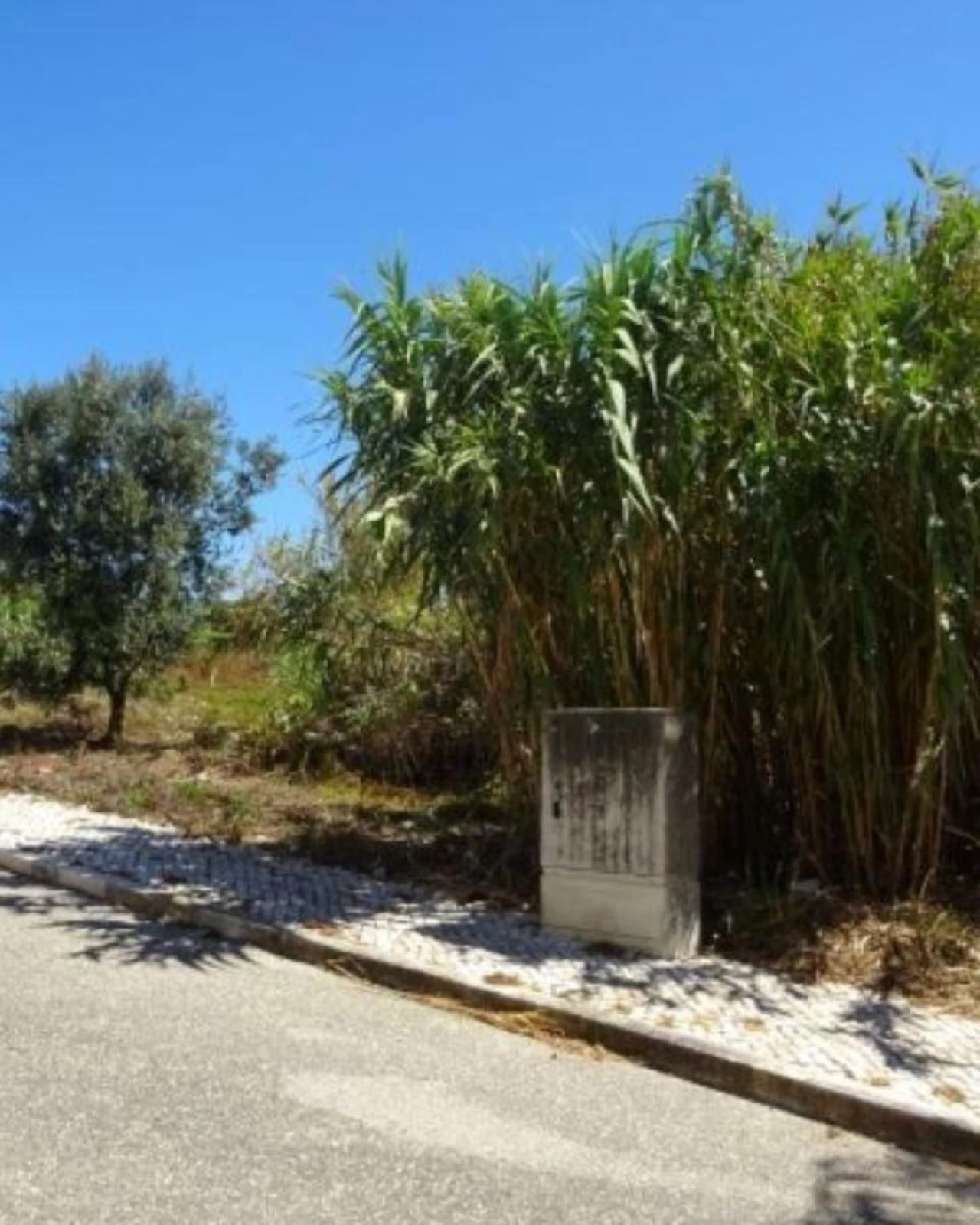 Terreno P/ Prédio para Venda em Buarcos Foto 1