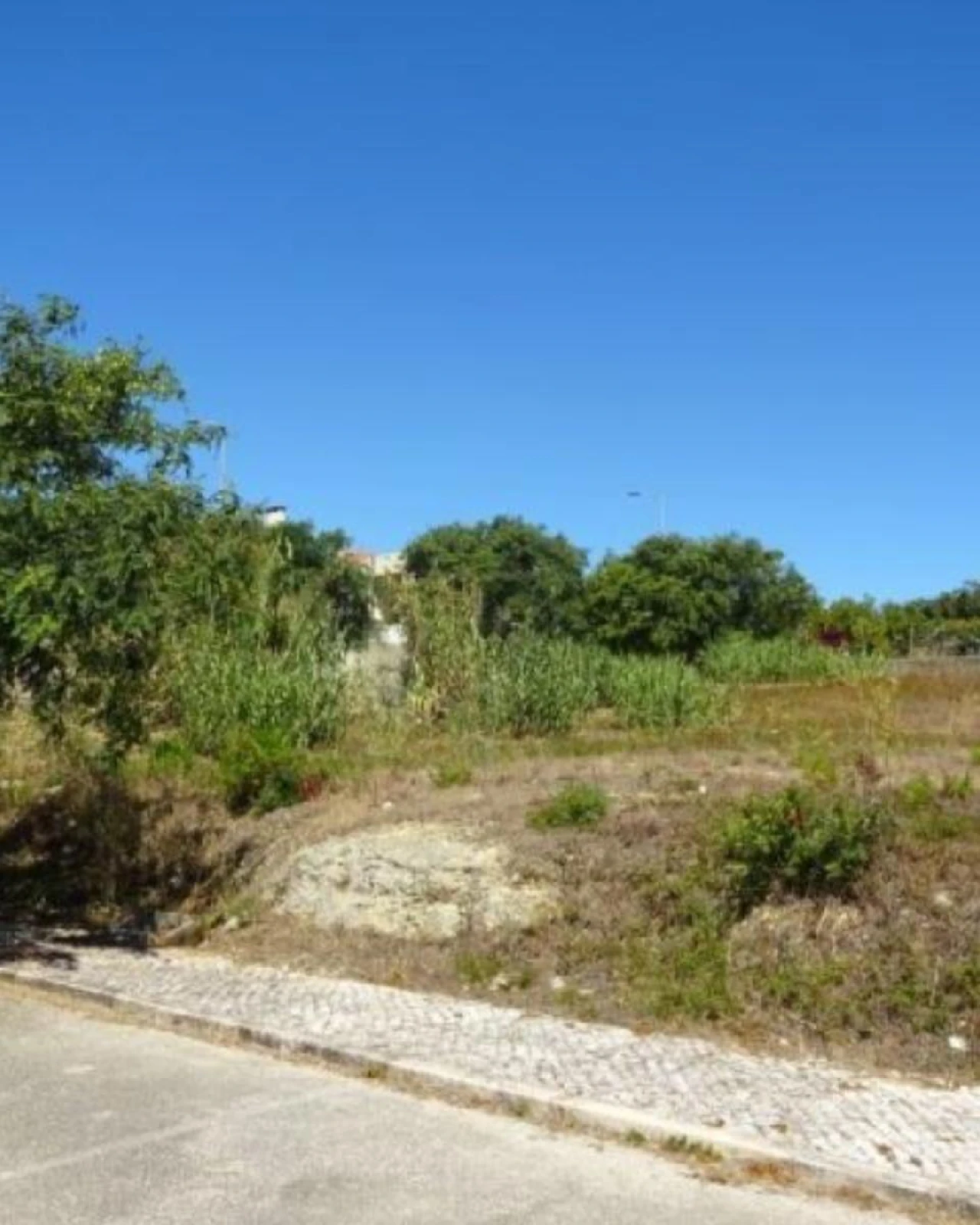 Terreno P/ Prédio para Venda em Buarcos Foto 3