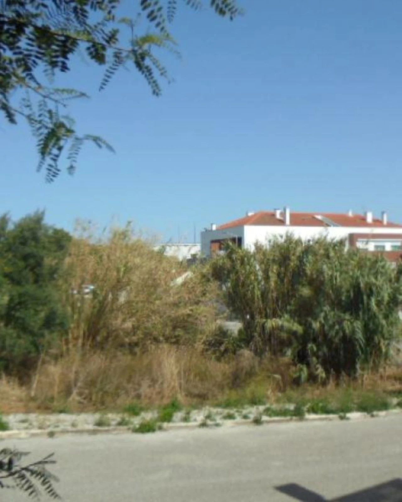Terreno P/ Prédio para Venda em Buarcos Foto 6