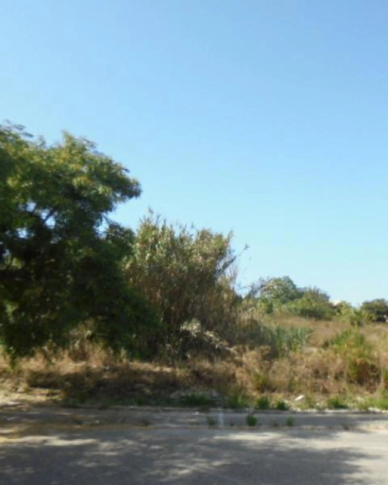 Terreno P/ Prédio para Venda em Buarcos Foto 7