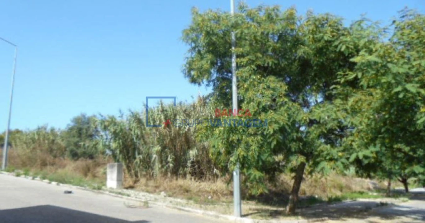 Terreno P/ Prédio para Venda em Buarcos Foto 3