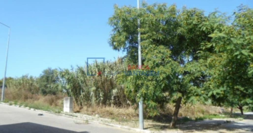 Terreno P/ Prédio para Venda em Buarcos