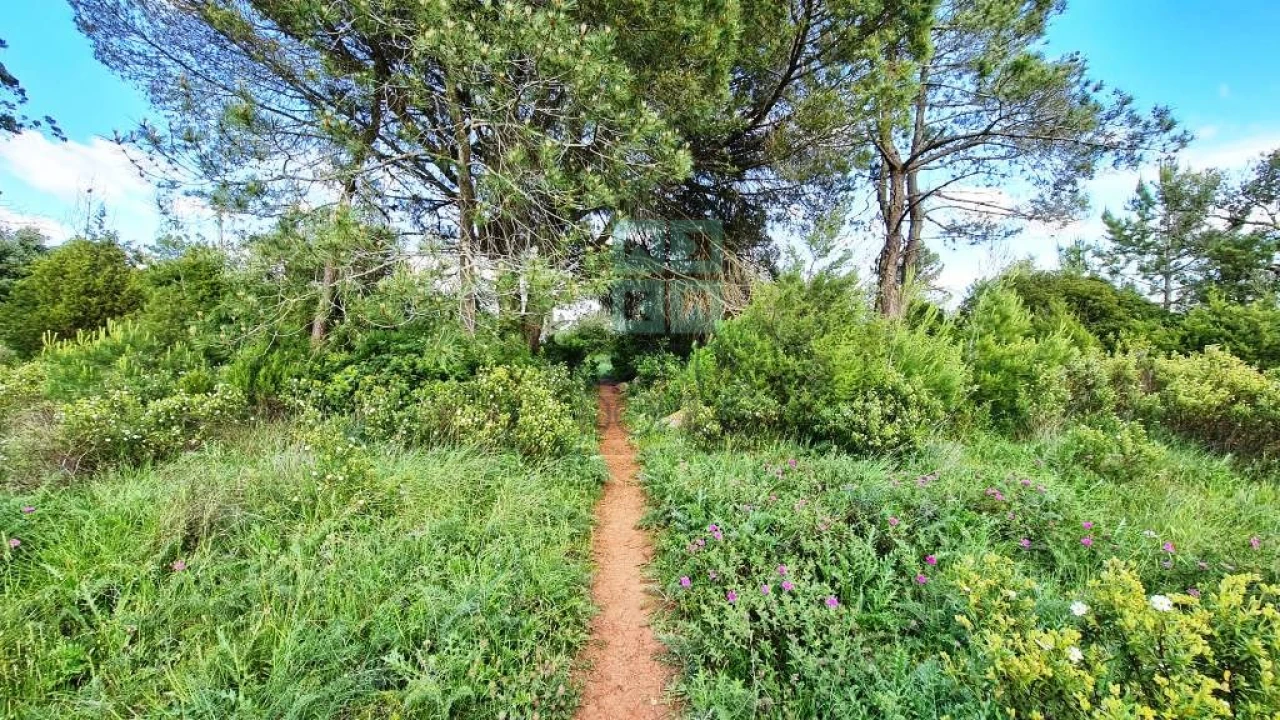 Terreno para Venda em Palmela Foto 31