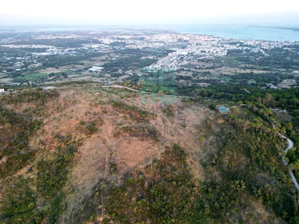 Terreno para Venda em Palmela Foto 60