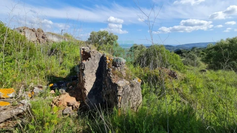 Terreno para Venda em Palmela