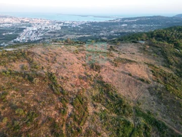 Terreno para Venda em Palmela