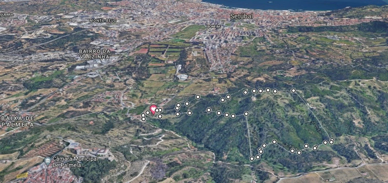Quinta T4 para Venda em Palmela Planta 6