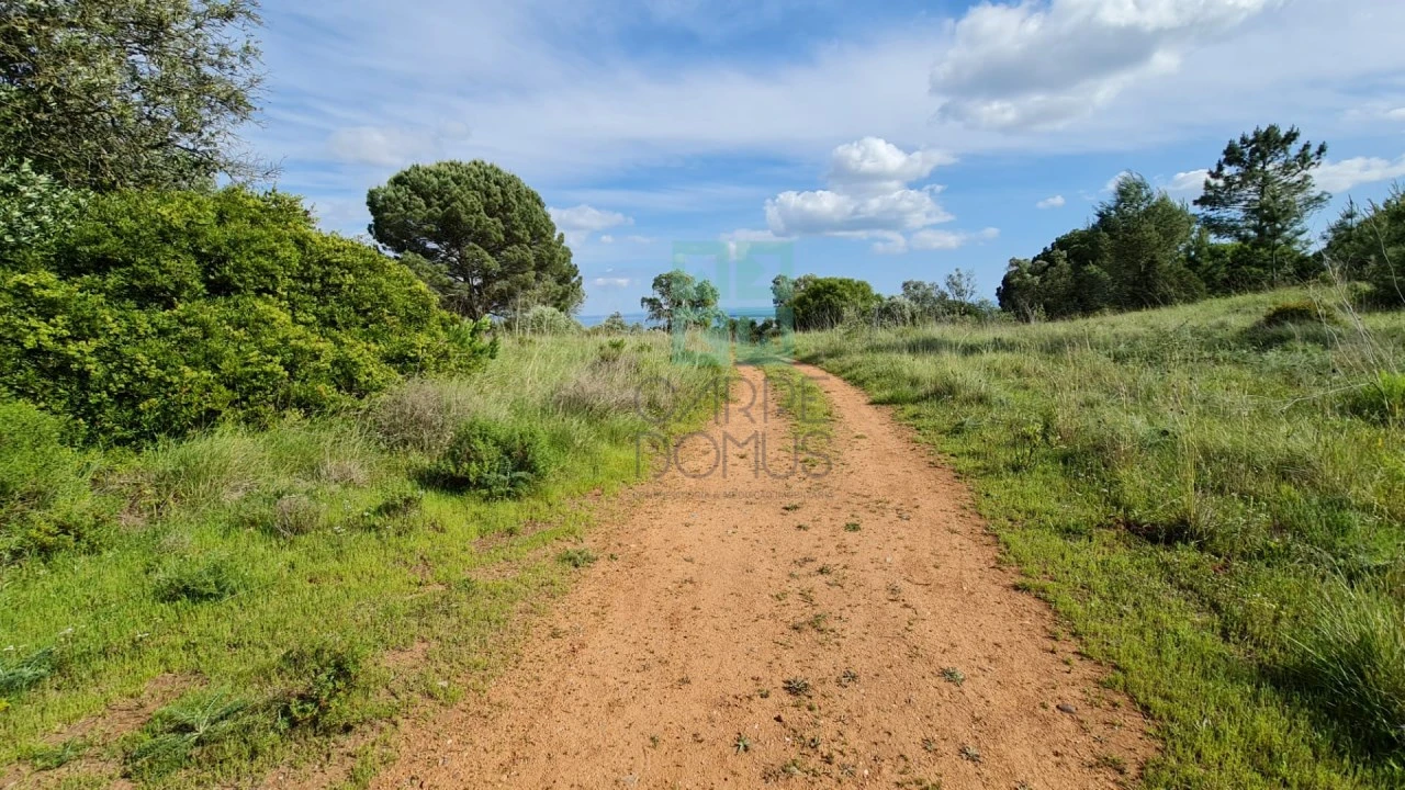 Quinta T4 para Venda em Palmela Foto 21