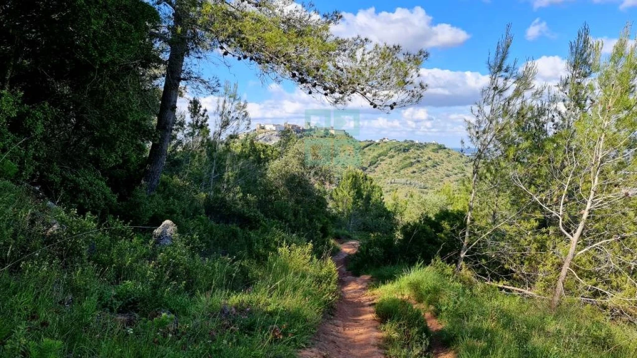 Quinta T4 para Venda em Palmela Foto 26