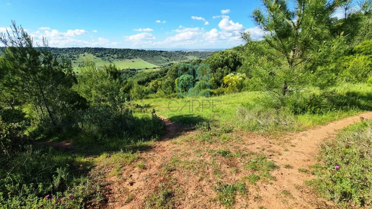 Quinta T4 para Venda em Palmela Foto 28