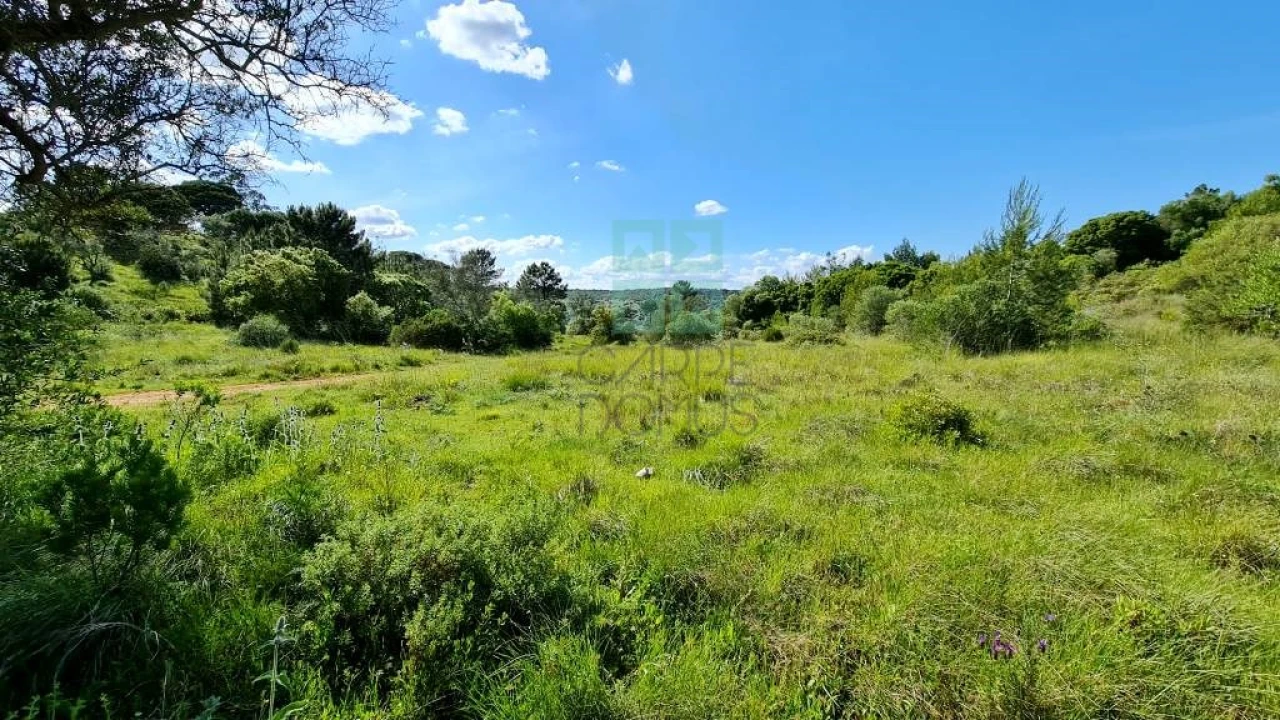Quinta T4 para Venda em Palmela Foto 30