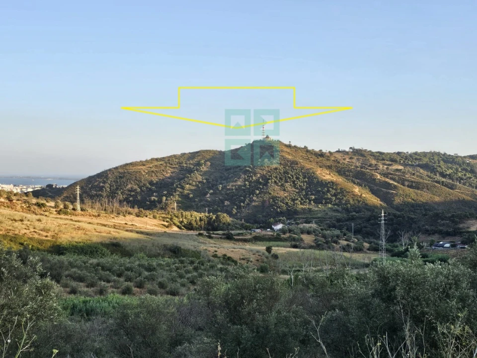 Quinta T4 para Venda em Palmela Foto 36