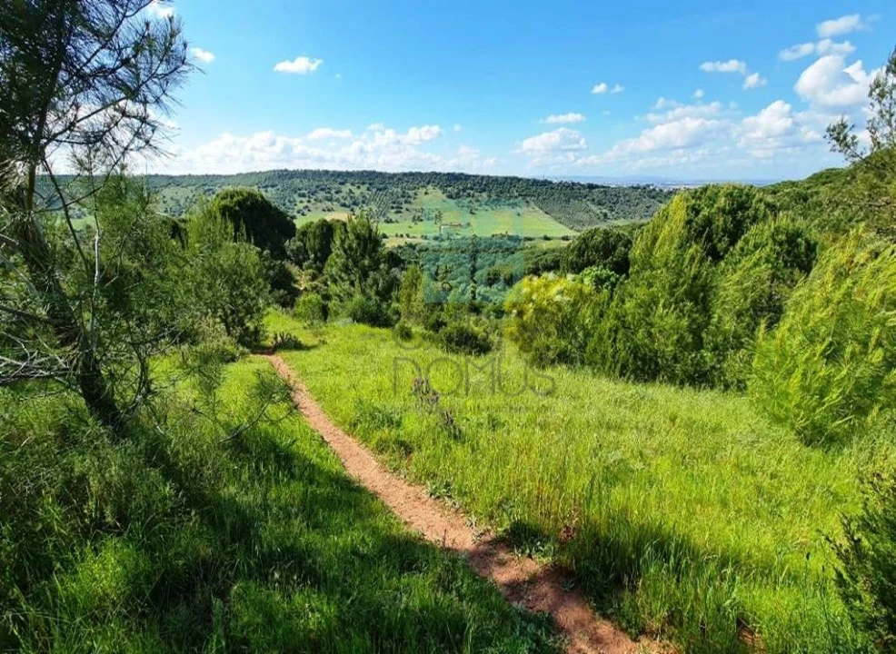 Quinta T4 para Venda em Palmela Foto 4