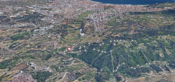 Quinta T4 para Venda em Palmela