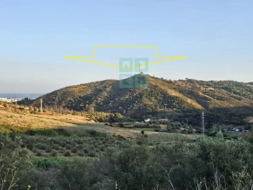 Quinta T4 para Venda em Palmela