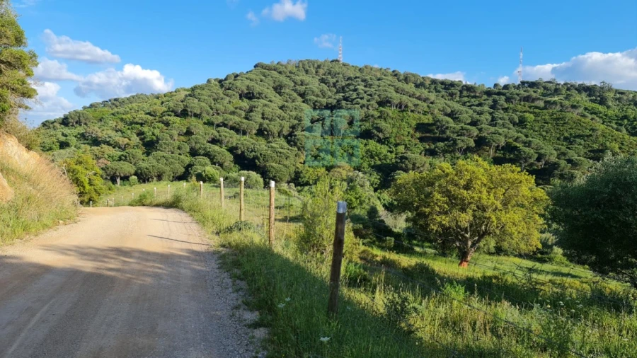 Quinta T4 para Venda em Palmela Foto 32