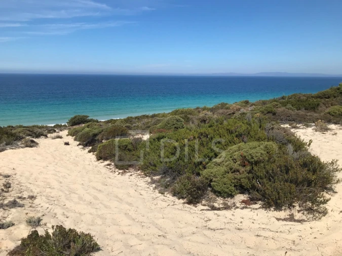 Moradia T9 para Venda em Comporta Foto 28