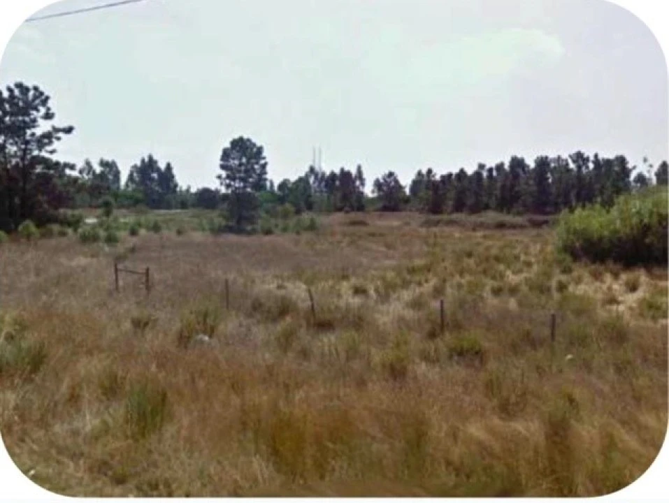 Terreno para Venda em Pegões Foto 4
