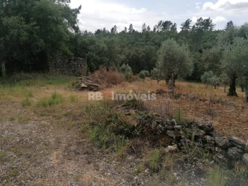 Terreno Agricola ou Rústico para Venda em Além da Ribeira e Pedreira