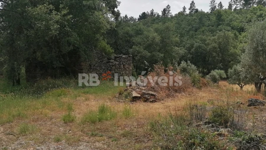 Terreno Agricola ou Rústico para Venda em Além da Ribeira e Pedreira