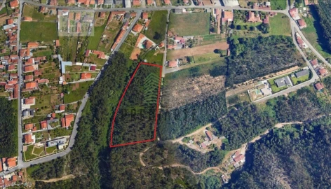 Terreno para Venda em Cortegaça