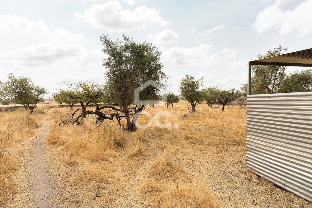 Terreno para Venda em Santa Eulalia Foto 14