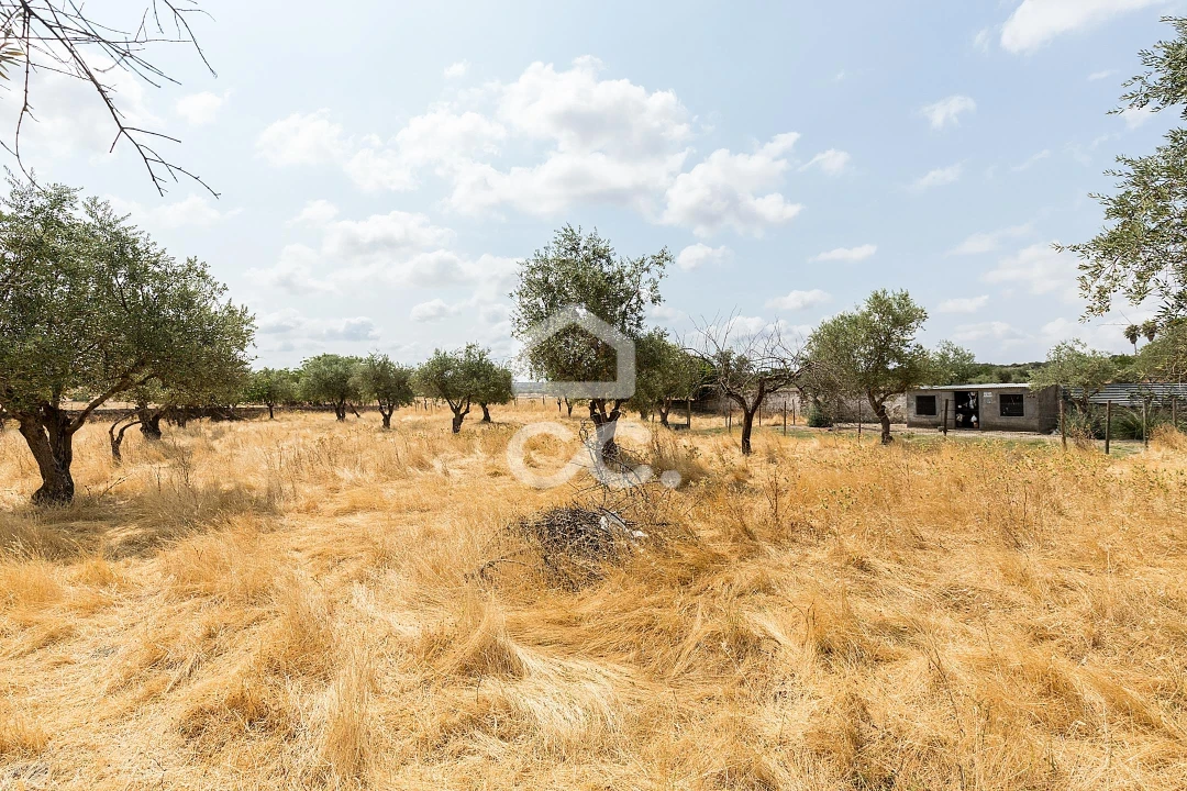Terreno para Venda em Santa Eulalia Foto 16
