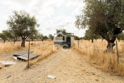 Terreno para Venda em Santa Eulalia