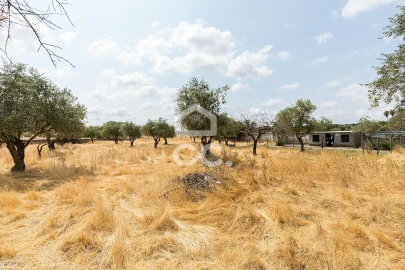 Terreno para Venda em Santa Eulalia