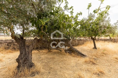 Terreno para Venda em Santa Eulalia