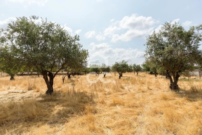 Terreno para Venda em Santa Eulalia