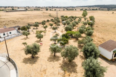 Terreno para Venda em Santa Eulalia