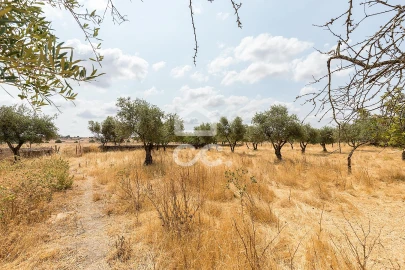 Terreno para Venda em Santa Eulalia