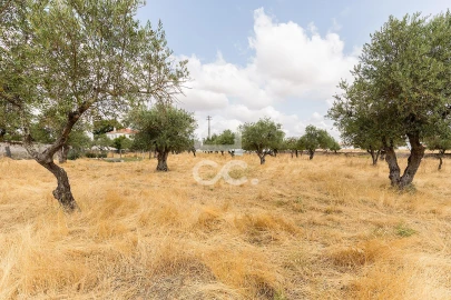 Terreno para Venda em Santa Eulalia