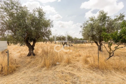 Terreno para Venda em Santa Eulalia