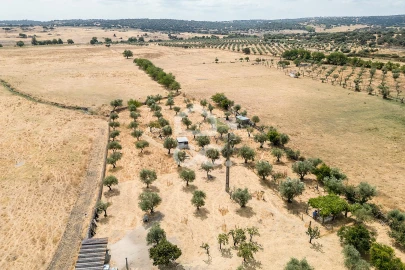 Terreno para Venda em Santa Eulalia