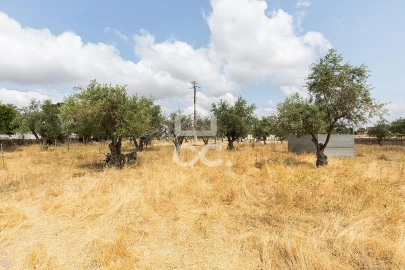 Terreno para Venda em Santa Eulalia