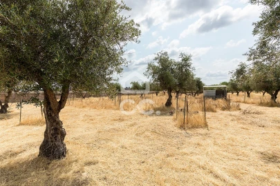Terreno para Venda em Santa Eulalia