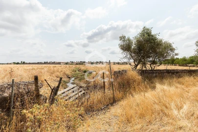 Terreno para Venda em Santa Eulalia