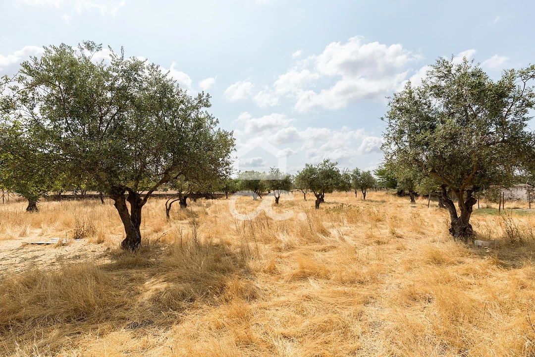 Terreno para Venda em Santa Eulalia Foto 17