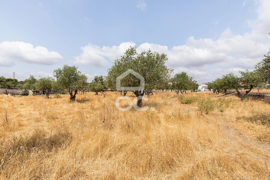 Terreno para Venda em Santa Eulalia Foto 23
