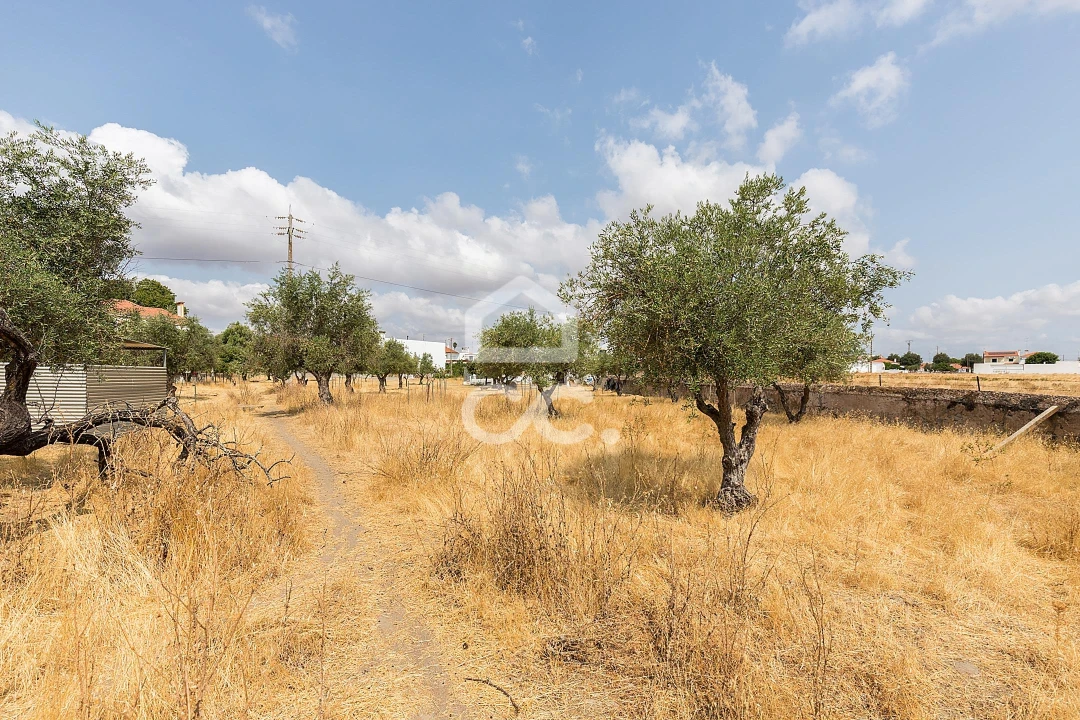 Terreno para Venda em Santa Eulalia Foto 19