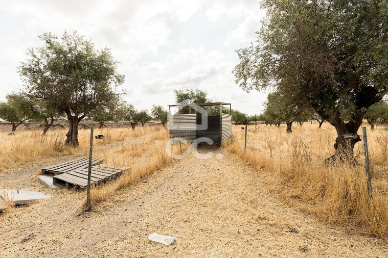 Terreno para Venda em Santa Eulalia Foto 13