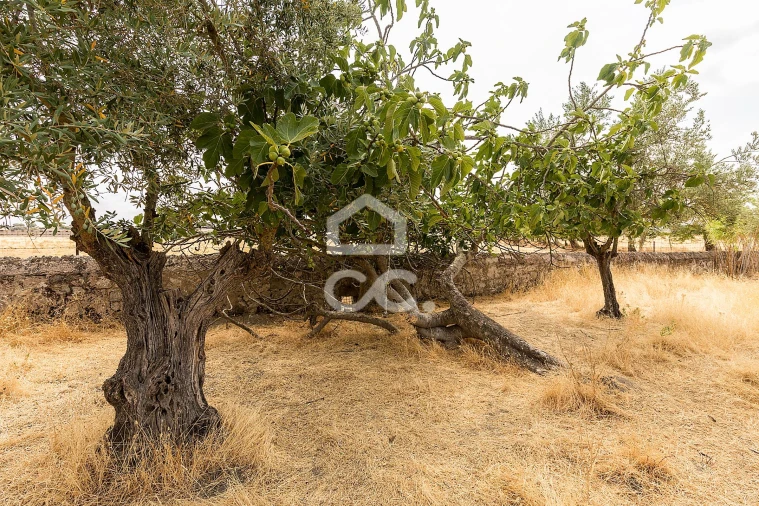 Terreno para Venda em Santa Eulalia Foto 22