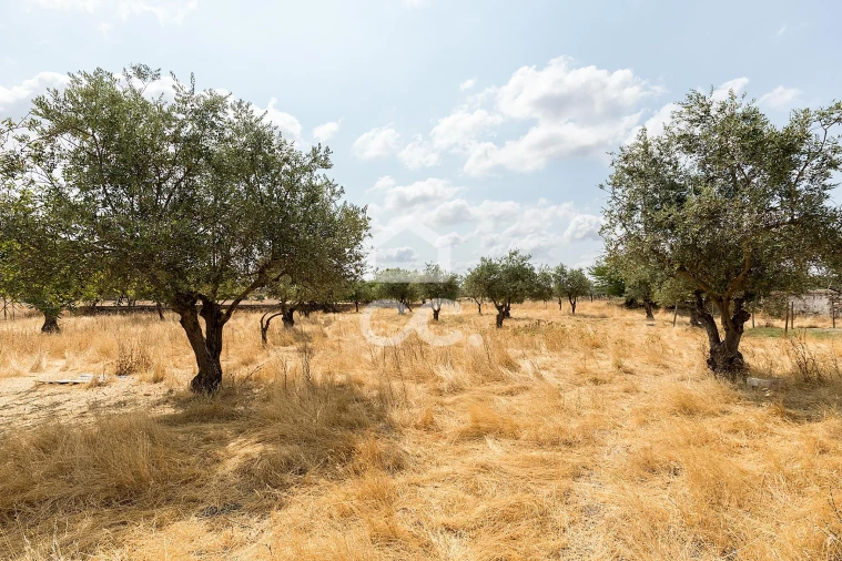 Terreno para Venda em Santa Eulalia Foto 17
