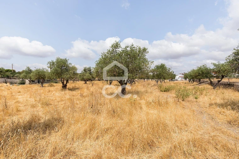 Terreno para Venda em Santa Eulalia Foto 23