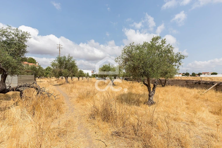 Terreno para Venda em Santa Eulalia Foto 19